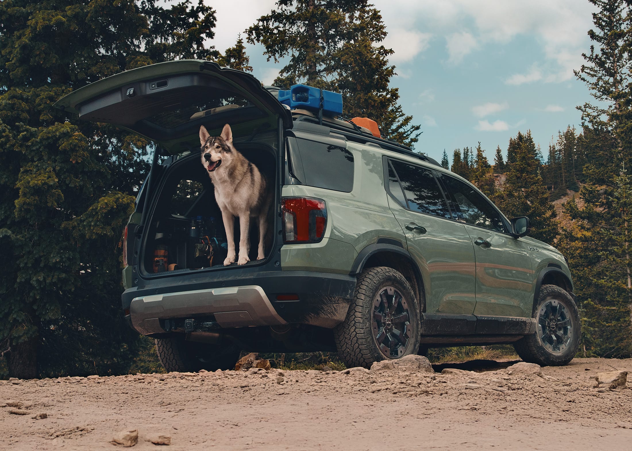 3/4 rear passenger-side view of the 2026 Honda Passport TrailSport Elite in Ash Green Metallic, shown parked at a campsite with a large dog standing up in the rear cargo area, looking out.